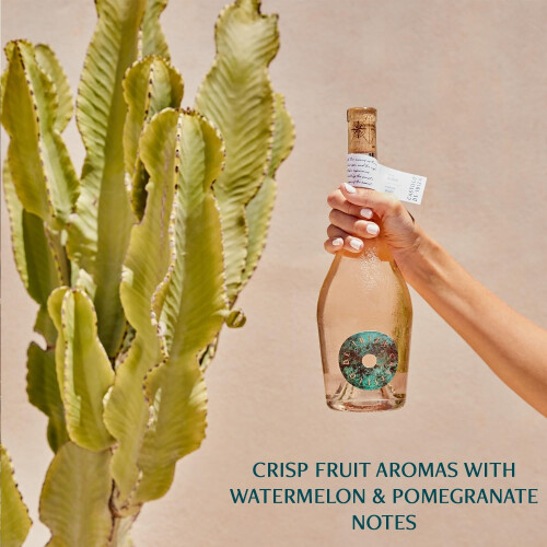 Castillo de Ibiza Pale Rose Wine, 75cl 2