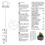Emma Basic Crispy Seaweed 20g (Pack of 4) | Crispy & Thin | High Fibre | Source 6