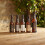 Hawkstone Cider 12 x 500ml Bottles 6