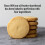 Walkers Walker's Shortbread Belgian Chocolate Chunk Biscuits – Traditional Scottish Shor 2