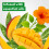 Dettol Dettol, Multipurpose Concentrated Disinfectant Liquid, Antibacterial, Mango and 6
