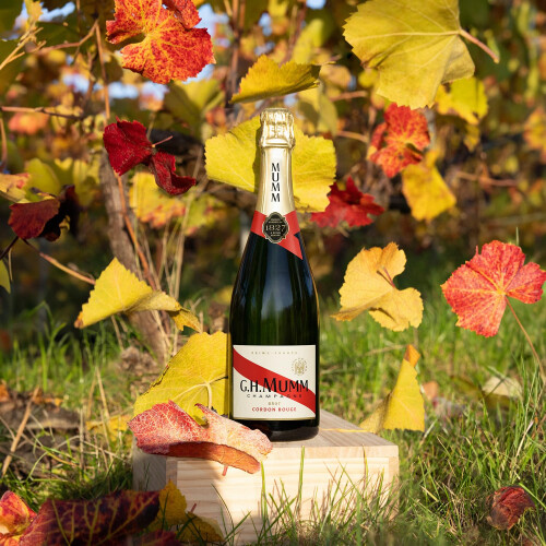 Mumm Cordon Rouge Brut 2