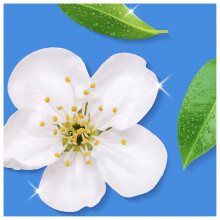 Flash Spray.Wipe.Done. Bathroom Antibac Cleaning Spray White Blossom 800ML, Spar