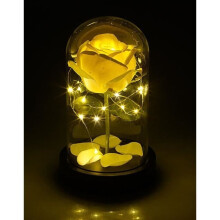 Decoratie - Lunartec - Kunstmatige roos onder een glazen koepel - 25 LED-lichtsnoeren - Warm wit - Realistisch effect