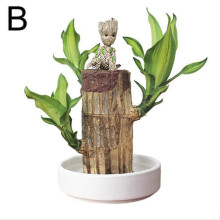 (B, B) Groot Lucky Wood Hydroponic Plant Pot, Modern Decorative Office Home_w