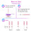 Easy@Home 50 Ovulation Test Strips and 20 Pregnancy Test Strips, Ovulation and P 8