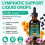 Lymphatic Drainage Drops 2 FL OZ, 2PCS Lymphatic Support Supplement, Natural Her 2