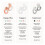 Loop Loop Engage 2 Plus Ear Plugs – Everyday Noise Relief with Clear Speech for Socia 8