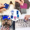 OBSCYON 6Pcs Lice Comb,Double Sided Nit Comb for Head Lice Treatment[including L 7