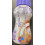FORTISIP BOTTLE CHOCOLATE 200ml 3