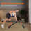 naspaluro Adjustable Weight Bench for Full Body Workout - 880 Lb Stable Workout 7