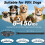 Anti Barking Collars, Non-Shock Dog Barking Device Collar with 3 Modes IPX7 6