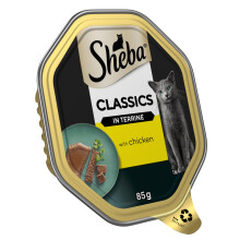 Sheba Classics Cat Tray with Chicken in Terrine 85g