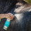 Flygard Extra Strength 1 litre 3