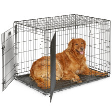 MidWest Homes for Pets 42-Inch Two-Door iCrate Folding Dog Crate with Divider Panel, Leak-Proof Tray & Secure Latches – Metal Wire Kennel for Large