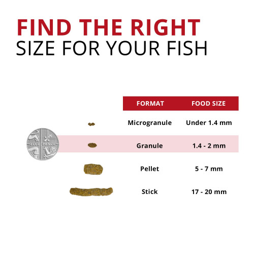 Fluval Fluval Bug Bites Cichlid Granule Fish Food 45g 2