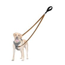 PetBonus Two Point Control Dog Lead, Works with No Pull Harnesses, No Tangle Training Leads, Soft Padded and Reflective Walking Lead, Converts to Sin