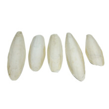 Britten & James Large Natural Cuttlefish 13-20cm (Pack of 5)