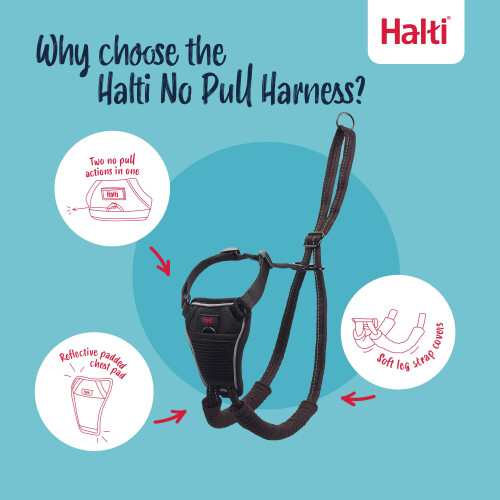 Halti Halti No Pull Harness Size Large & Halti Training Leash Size Large, Black Combination Pack - Stop Your Dog Pulling on the Leash. Adjustable, Lightwei 2
