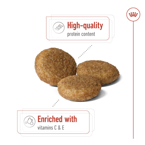 Royal Canin Royal Canin Medium Adult 15 kg 2