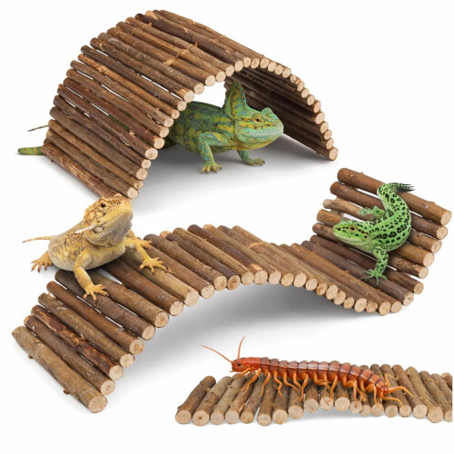 2PCS Reptile Hideout Climbing Bridge Tortoise Accessories