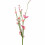 GREEN MED KUGLER 30 CM, PINK 1