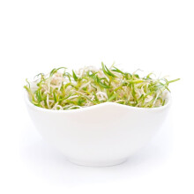 Spinat - spirende frø spirer - 50g