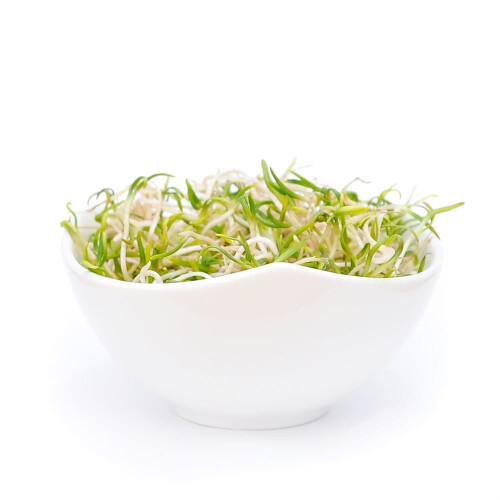 Spinat - spirende frø spirer - 50g