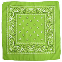 Modetrend Moderne Design Polyester Firkantet Paisley Tørklæde Hip Hop Pukkelhval Cashew Blomst Tørklæde 1 stk.
