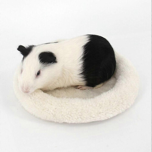 (S, Cream) Hamster Mat Small Animal Bedding Cushion Sleeping Pad Toy 2