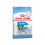 Royal Canin Royal Canin Mini Puppy 8 kg 1