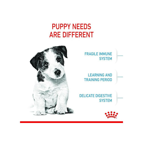 Royal Canin Royal Canin Mini Puppy 8 kg 1