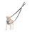 PetBonus Two Point Control Dog Lead, Works with No Pull Harnesses, No Tangle Tra 1