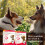 Beaphar Beaphar - Canishield Medicated Flea & Tick Collar for Large Dogs - Kills Fleas, 8