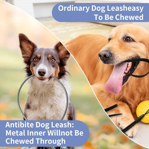Mi Metty 24in Chew Proof Dog Leash Extension Rope for Basic Walking Leash,Work w 2