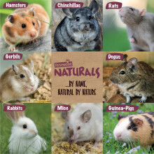 Rosewood Naturals Nibble Woodroll with Carrot, Small Animal Treat and Gnaw Toy f