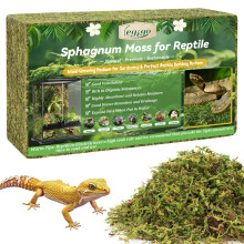 Legigo 600g Sphagnum Moss for Reptile- 24 L Natural Reptile Moss Terrarium Moss