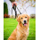 BullyBillows Anti-Pull Anti-Choking Training Dog Lead | 1.2m Active Light Dog Le 8