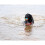 Chuckit! Chuckit! - 3 amphibious balls - 6 cm - 1 piece, Multi 5