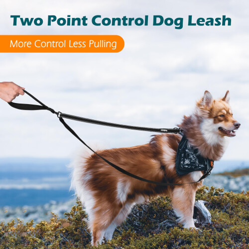 PetBonus Two Point Control Dog Lead, Works with No Pull Harnesses, No Tangle Tra 1