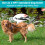 PetBonus Two Point Control Dog Lead, Works with No Pull Harnesses, No Tangle Tra 6