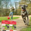 Beaphar Beaphar - Gentle Leader Head Collar for Large Dogs - Training Aid - Stops Pullin 8