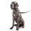 Beaphar Beaphar - Gentle Leader Head Collar for Large Dogs - Training Aid - Stops Pullin 4