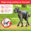 Beaphar Beaphar - Gentle Leader Head Collar for Large Dogs - Training Aid - Stops Pullin 5