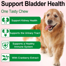 Urinary Tract Infection Treatment for Dogs, Natural Urinary Tract Support Drops,