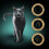 Sheba Sheba Classics Cat Tray with Chicken in Terrine 85g 3