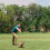 Chuckit! Chuckit! WHISTLE FLYER, Multi 7