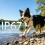 Cat GPS Tracker No Subscription Required Cat Collar Tracker Supports Android & i 5