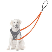 Adiwo Two Point Control Dog Leash, Professional Anti-Pull Dog Lead with Reflecti
