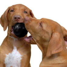 KONG Extreme Ball with Hole - Durable Natural Rubber Dog Fetch Toy for Training